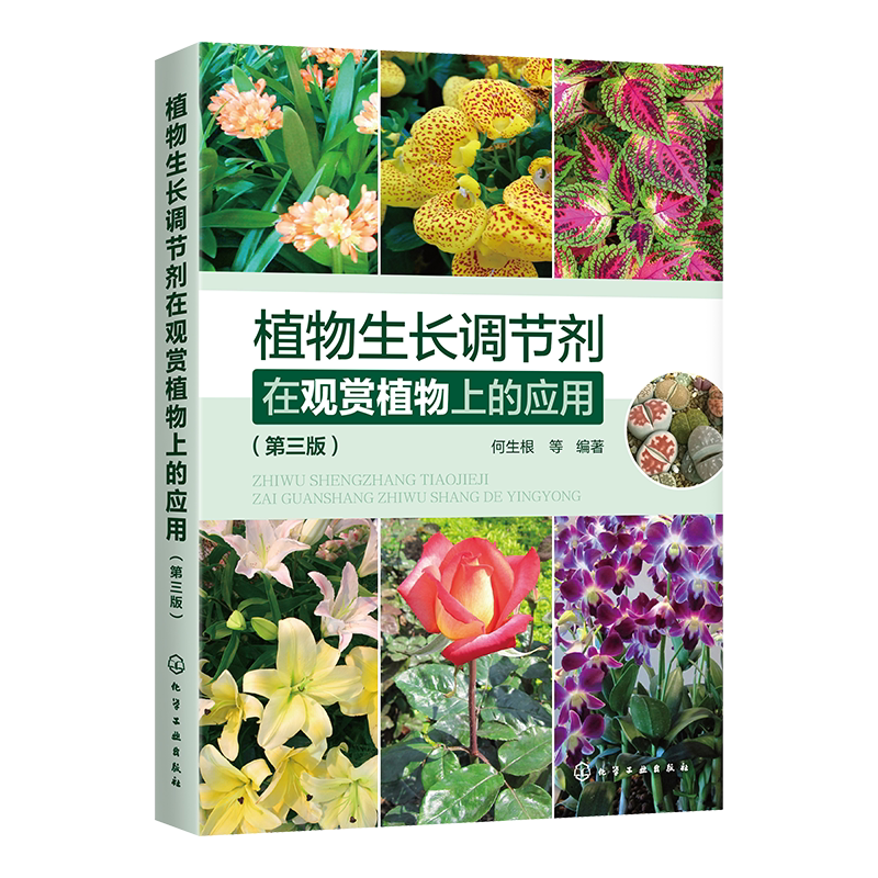 在种植物新品 在种植物价格 在种植物包邮 品牌 淘宝海外