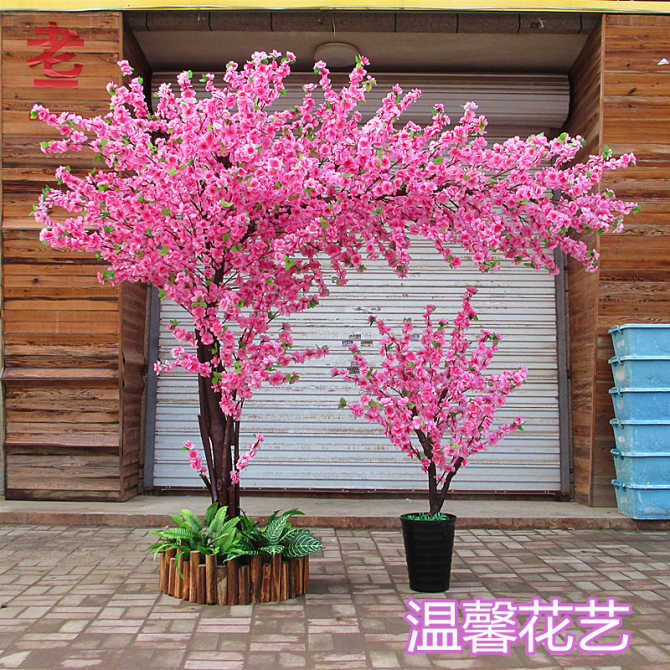 淘宝