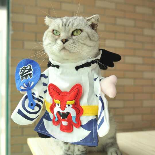 猫皇帝服价格 猫皇帝服品种 猫皇帝服制作 图片 淘宝海外