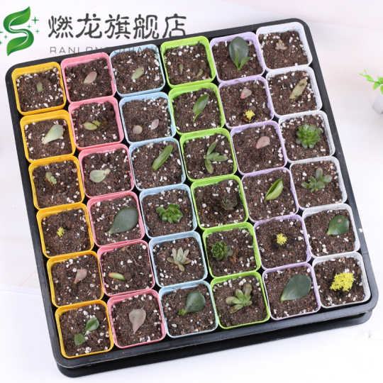 taobao com