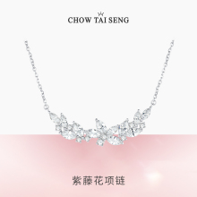 Zhou Dasheng's Female Wisteria Flower Pure Silver Necklace