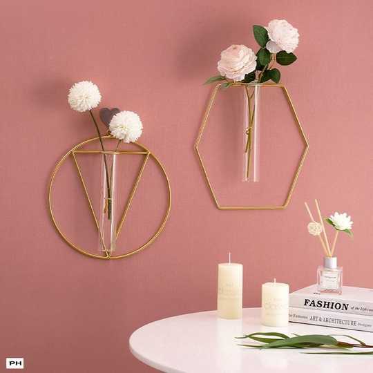 西洋菊功效 西洋菊哪里买 西洋菊的功效 做法 淘宝海外