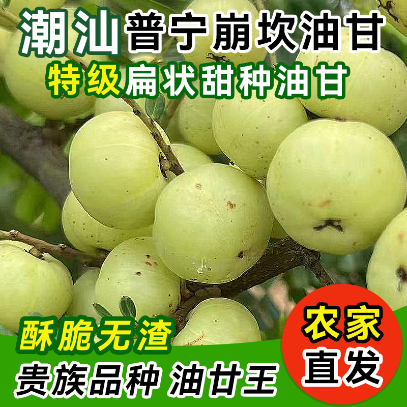 Chaozhou Sweet Olive Fruit Healthy