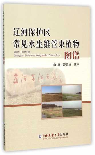 维管束植物新品 维管束植物价格 维管束植物包邮 品牌 淘宝海外