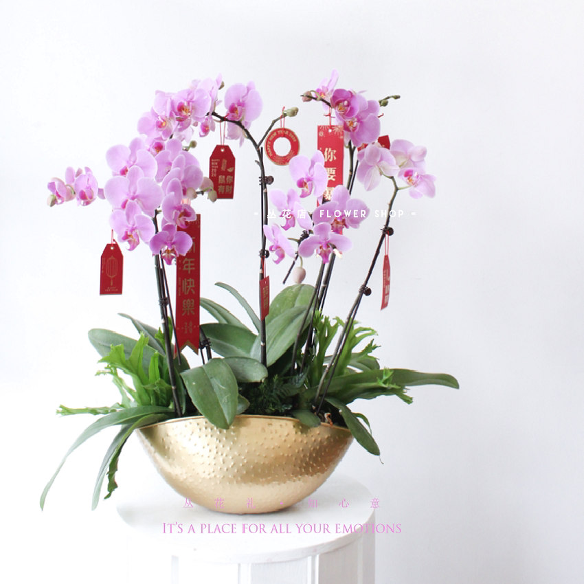 兰花花器 新人首单优惠推荐 21年6月 淘宝海外