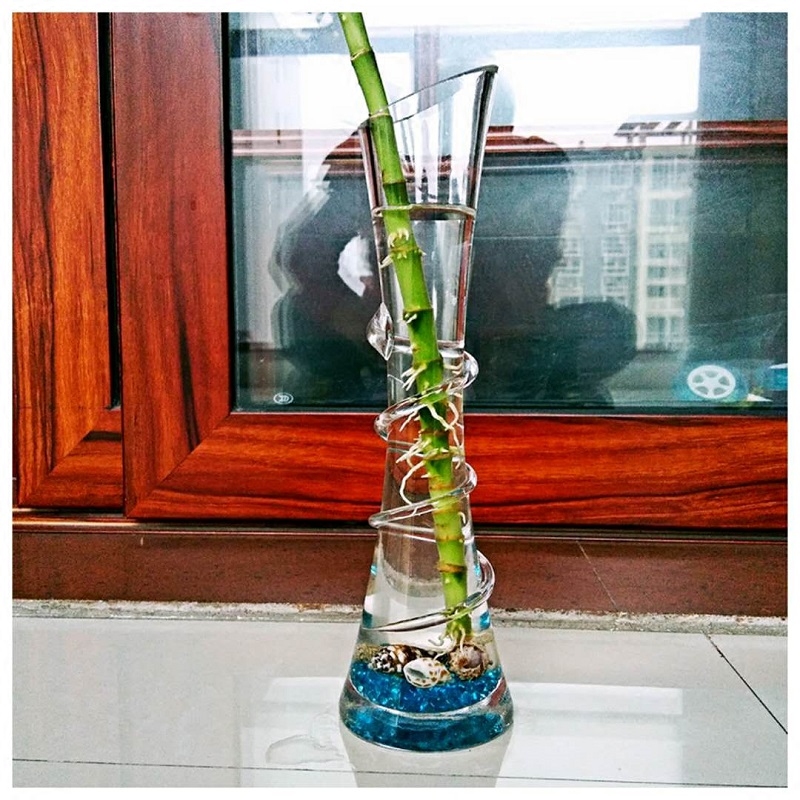 玻璃花瓶批发图片 玻璃花瓶批发价格 玻璃花瓶批发鉴定 设计 淘宝海外