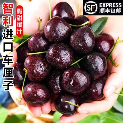 现货智利车厘子新鲜水果包邮进口樱桃原整箱顺丰桑提娜空运