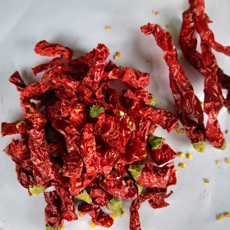 Place of Origin Wholesale Erjing Dried Chili Chili Zong Chili Slightly Spicy 1.0kg Chili Chili Color Enhancement 500g