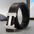 Brown silver buckle