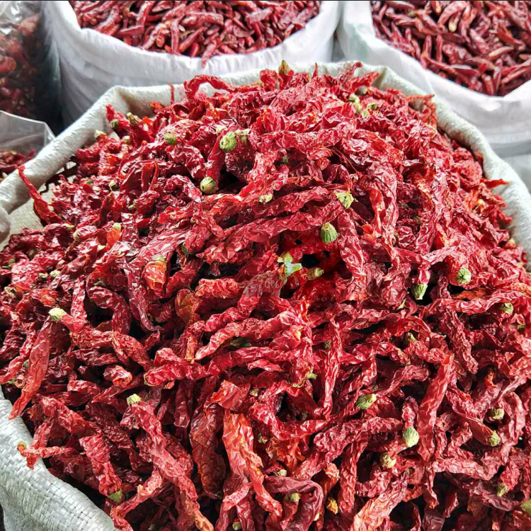 Place of Origin Wholesale Erjing Dried Chili Chili Zong Chili Slightly Spicy 1.0kg Chili Chili Color Enhancement 500g