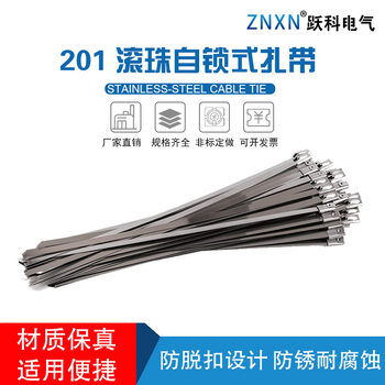 201/304/316 Stainless Steel Cable Tie Marine Cable Tie Self-Locking Cable Tie Metal Cable Tie Sign Cable Tie