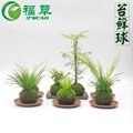 seller product image