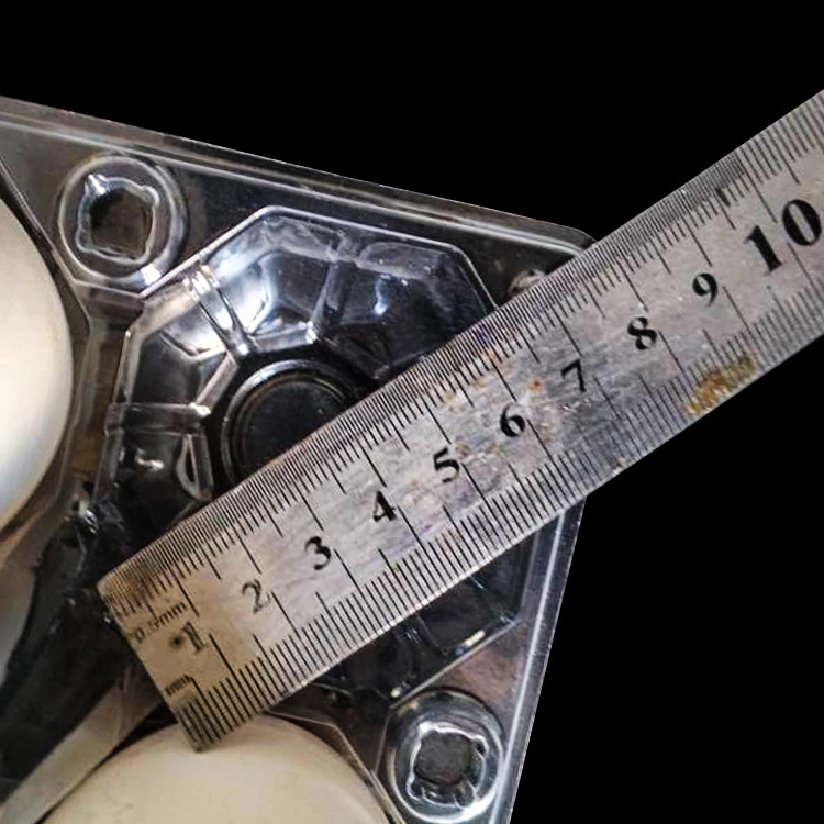 4-piece goose egg tray big goose egg packing box disposable transparent plastic tray brand new thickened goose egg tray