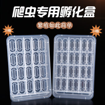 Crawling pet reptile hatching box tortoise palace guard lizard chameleon incubator egg holder breeding box