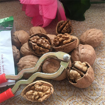Walnuts Xinjiang Specialty Bag 500g Exhibition Hot New Arrival with Clip Nuts Thin-Skinned Walnuts