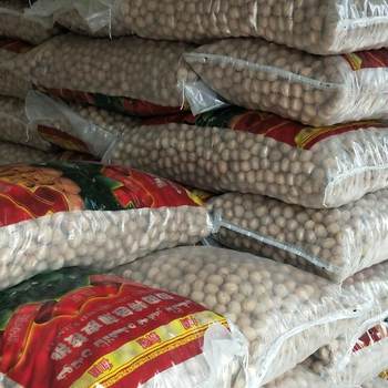 Wholesale Xinjiang Big Walnut big fruit 185 paper Peel walnut whole wholesale logistics pay-as-you-go order contact