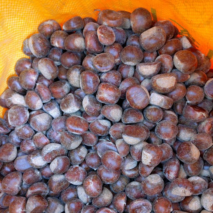 2025 Qianxi Roasted Chestnuts, Used by Stores, Fast Logistics, Wholesale Fresh Oil Chestnuts All Year Round, 24.5kg Per Pack