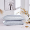 Cross-Border Wish Household Products Silk Amazon Pillow Cases Simulated Silk Double Pillowcase