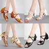 Wholesale Latin Dance Shoes for Children and Girls, Soft-Soled Girls' Dance Shoes, Children's Practice Shoes, New Style