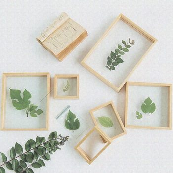 Wooden photo frame European plant double-sided glass specimen frame wooden creative table decorative picture frame wholesale