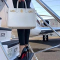 Litchi Platinum Bag White -30