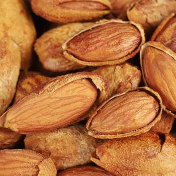 Almond Np Thin Shell Almond Wholesale Price 5kg / Box Factory Direct Sale