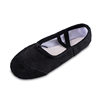 Dance Shoes with Soft Soles for Practicing Ballet, Cat Claw Shoes, Dance Shoes, Kidsren's Dance Shoes, Women's Yoga Shoes, Flat Heels