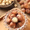 Large Capsules Hazelnut Nuts Factory Direct Sales 5kg / Box Snack Specialty