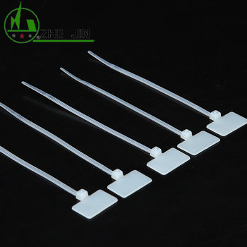 Venus Sign Nylon Tie 3*100 Internal and External Brand Straps Colorful Label Seal with Brand Logo Plastic Buckle