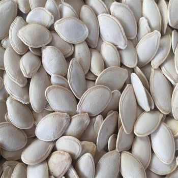 New Seasonal Goods: Inner Mongolia Pumpkin Seeds, Dried Bulk Roasted Seeds, White Melon Seeds 500g, One-Piece Wholesale, Large Seeds