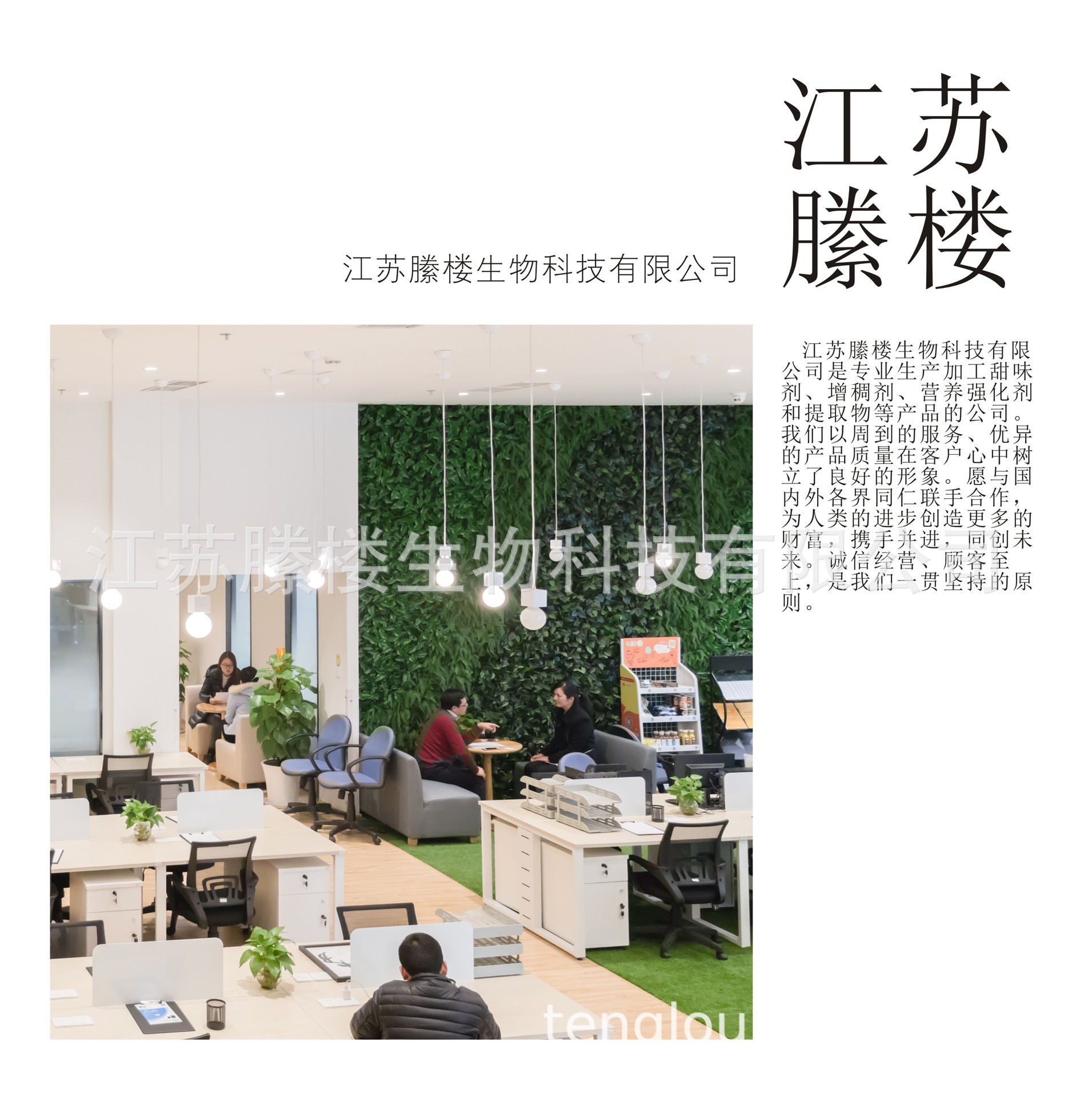 In stock supply whey protein powder food grade whey protein powder galanbia WPC80 instant protein powder