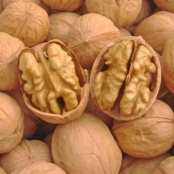 Xinjiang walnut new goods 500g for all ages thin peel Walnut factory wholesale