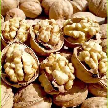 Xinjiang Thin-Skinned Walnuts, New Crop Walnuts, 0.5kg Per Pack, Bulk Purchase Discount, Leisure Snacks for the Elderly and Children