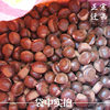 2025 Qianxi Roasted Chestnuts, Used by Stores, Fast Logistics, Wholesale Fresh Oil Chestnuts All Year Round, 24.5kg Per Pack