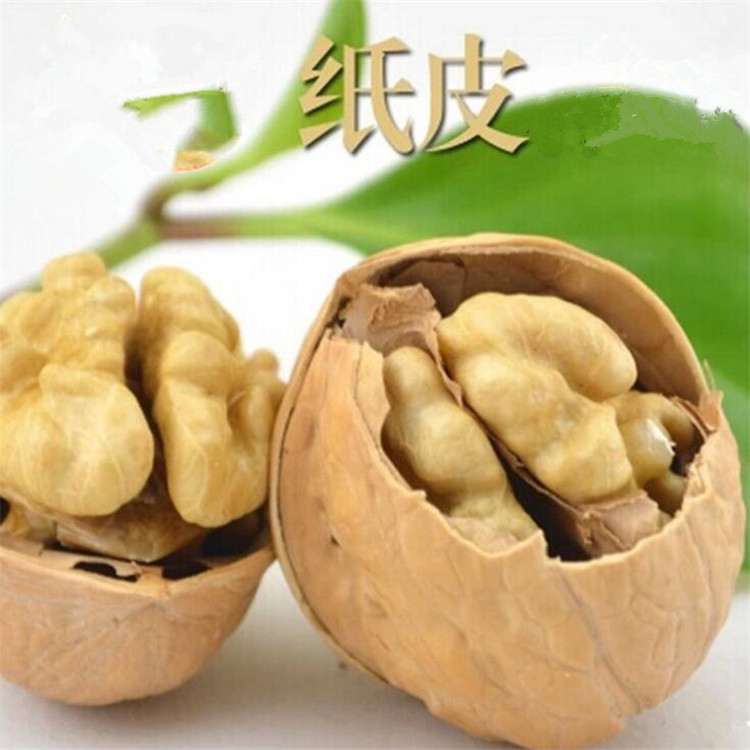 Thin-skinned 33 Walnut Aksu Specialty Raw Walnut Nut Raw Material 500g Bulk Large Spot Drop Shipping