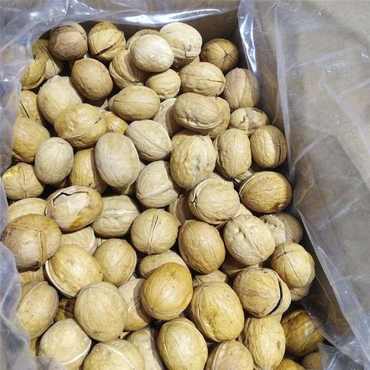 Large Quantity Wholesale Xinjiang Thin-skinned Walnuts Fried Walnuts Salt and Pepper Milk Flavor Crispy and Delicious Drop Shipping