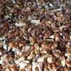 Xinjiang 2025 New Crop, Crushed Walnut Kernels 15kg / Box, Three-Way Walnut Kernel Food, Baking Ingredient, One