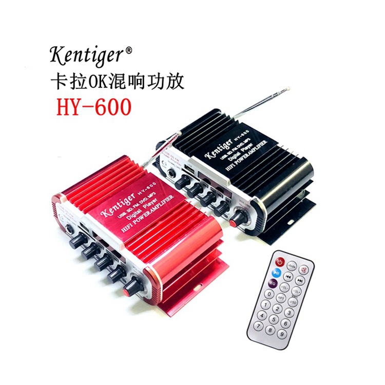 HY600 karaoke microphone USB/SD card reader FM12V car home small power amplifier
