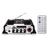 HY600 karaoke microphone USB/SD card reader FM12V car home small power amplifier