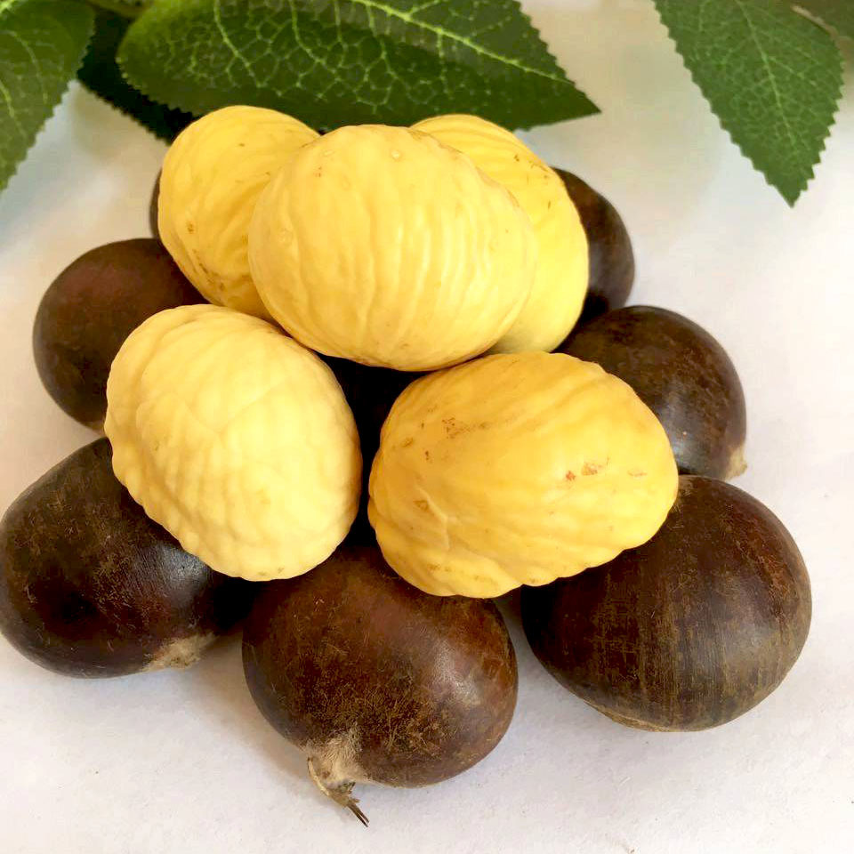 Fresh Chestnut Powder, Glutinous and Sweet Old Tree Hair Chestnuts, Chestnuts, Oil Chestnuts, High Mountain Chestnuts, Direct Delivery from the Origin, Yanshan Chestnuts