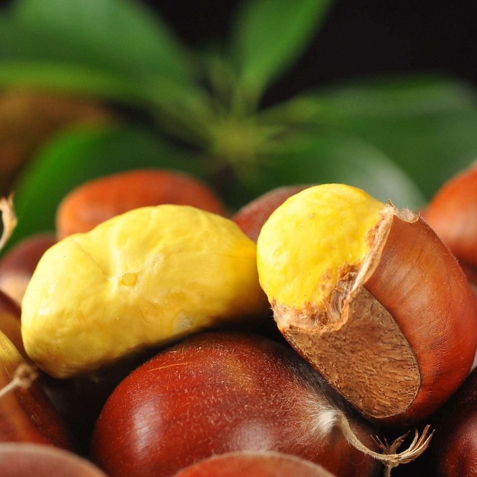 Fresh Chestnut Powder, Glutinous and Sweet Old Tree Hair Chestnuts, Chestnuts, Oil Chestnuts, High Mountain Chestnuts, Direct Delivery from the Origin, Yanshan Chestnuts