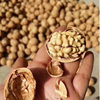 Xinjiang specialty 24 years new walnut Xinjiang Aksu 185 paper walnut hand kneading full walnut 500g