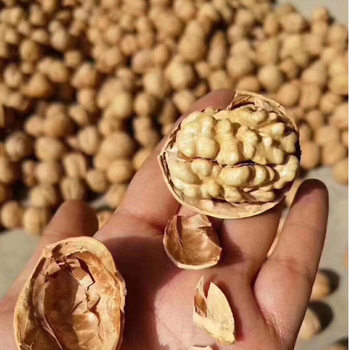 Xinjiang specialty 24 years new walnut Xinjiang Aksu 185 paper walnut hand kneading full walnut 500g