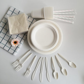 Amazon Biodegradable Tableware Set 5025 Pieces Including Plates with Knives, Forks, Spoons, Napkins, and Straws, Eco-Friendly and Biodegradable