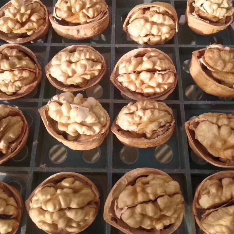 Xinjiang specialty 24 years new walnut Xinjiang Aksu 185 paper walnut hand kneading full walnut 500g