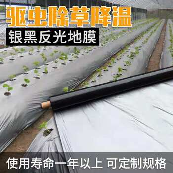 Pe Silver-Gray Agricultural Mulch Film for Fruits and Vegetables, Silver-Black Perforated Film for Weed Control, Reflective Agricultural Plastic, Ultra-Thin