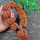Wenwan Walnut hand play оптовая продажа официальной шляпы с рисунком Кирин из грецкого ореха, основной цвет, пластина play hand handle мужская антикварная сумка из мякоти грецкого ореха mini 9