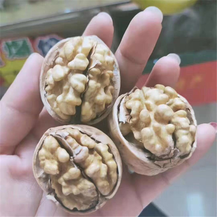 Xinjiang Paper-Skinned Walnuts Wholesale in Large Quantities, Aksu Hand-Punched Raw Walnuts in Bulk, 185 Nuts