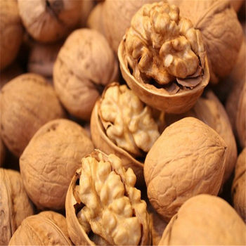 New Arrivals in Season Xinjiang Specialty Aksu Walnuts Bulk Thin-Skinned Large Walnuts Thin-Skinned New Walnuts Dropshipping