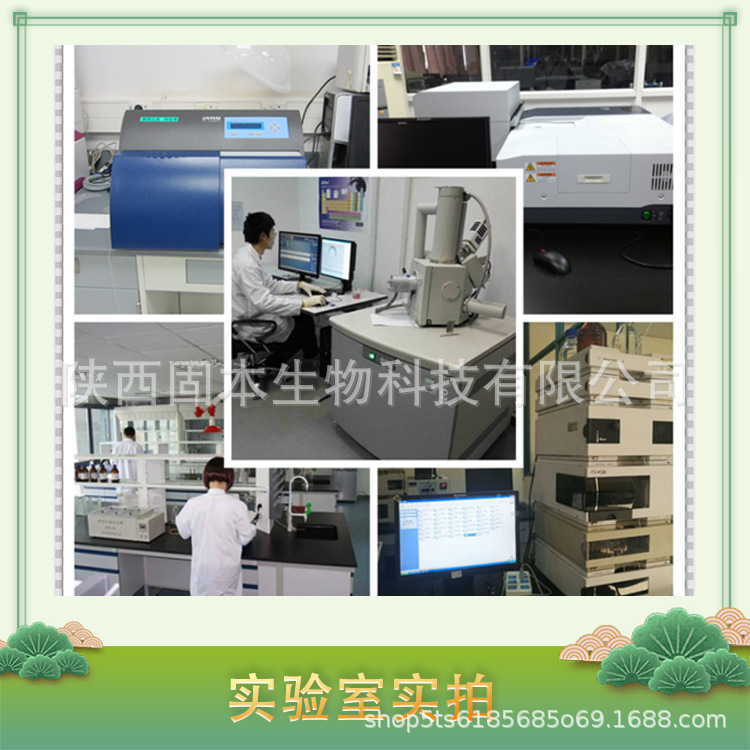 Cocoa Powder Alkalized Cocoa Powder Cocoa Bean Extract Cocoa Concentrated Powder Baked Food Raw Materials in Stock with Free Shipping